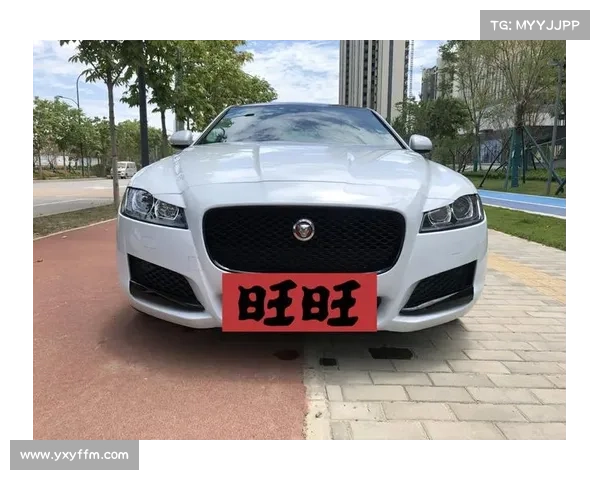 一双好鞋对驾驶的重要性 捷豹与奥利弗·斯威尼推出驾驶鞋 一双好鞋对驾驶的重要性 捷豹与奥利弗·斯威尼推出驾驶鞋