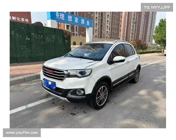 低配也不错!看看最便宜的哈弗H1 低配也不错!看看最便宜的哈弗H1